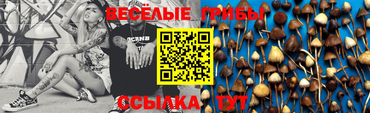 Ростов Великий  Псилоцибиновые грибы Psilocybine cubensis  Вход с VPN  Псилоцибиновые грибы GOLDEN TEACHER 