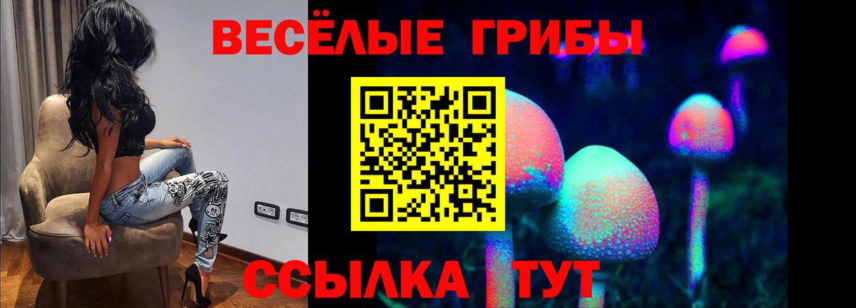 Галлюциногенные грибы прущие грибы Ростов Великий